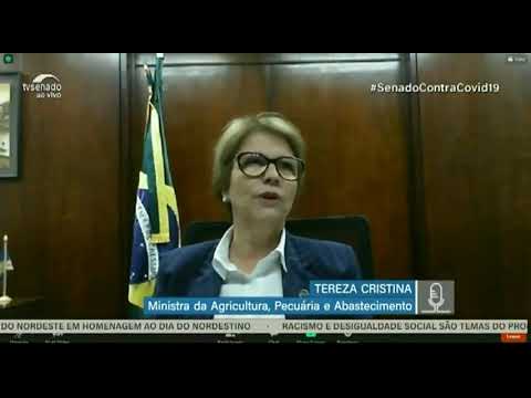 Vídeo: Ministra da Agricultura sugere medidas de prevenção a incêndios e de reativação da economia no Pantanal 2020 10 09 20:01:24