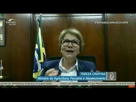 Vídeo: Se rebanho bovino fosse maior dimensão de incêndios no Pantanal poderia teria sido menor diz ministra 2020 10 09 19:44:31