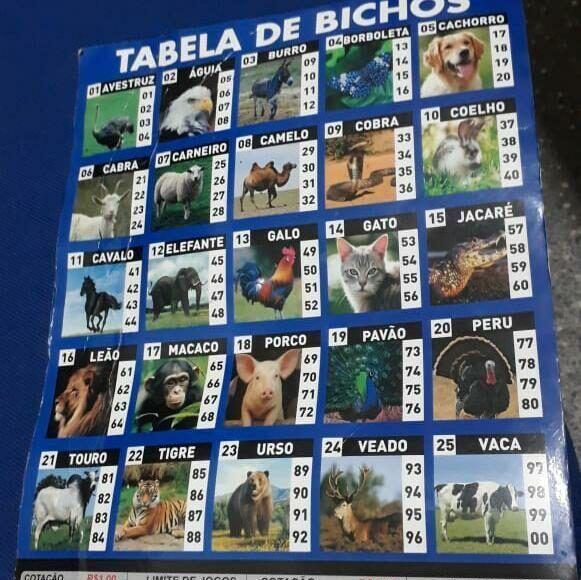 Policiais do 1%C2%BA BPM fecham com%C3%A9rcio de salgados utilizado para o jogo do bicho 2020 11 27 07:26:15