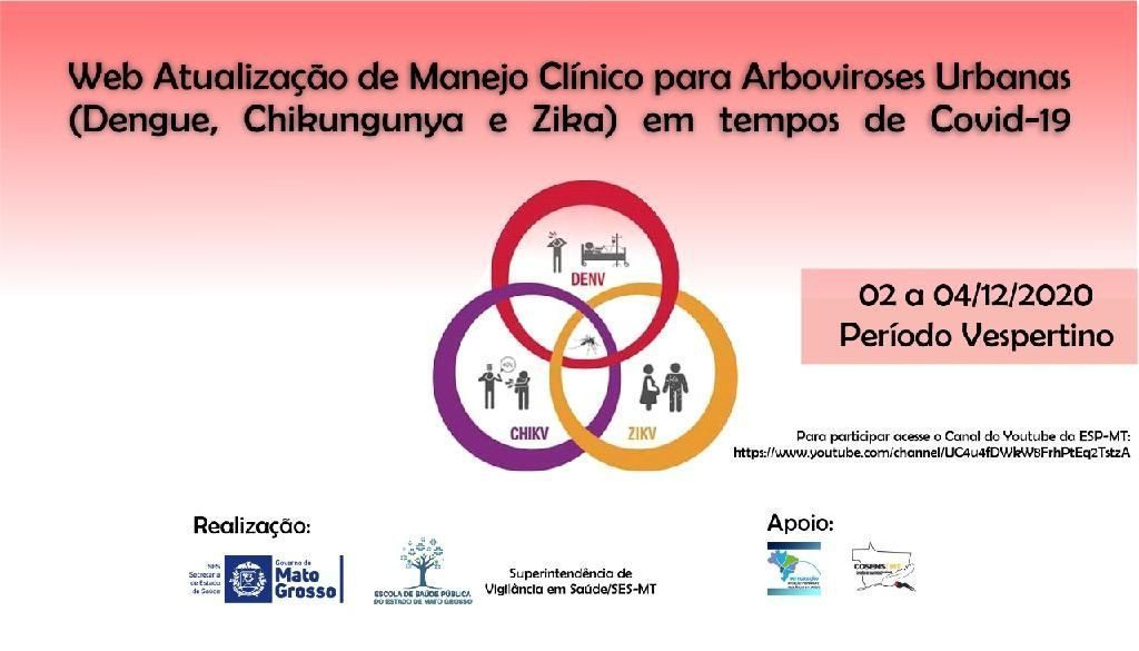 SES promove capacitação para detecção precoce de casos de dengue chikungunya e zika2020 11 27 12:35:22