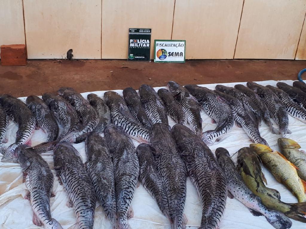 Batalhão Ambiental e Sema apreendem 135 quilos de pescado em Pedra Preta 2020 12 19 13:46:42