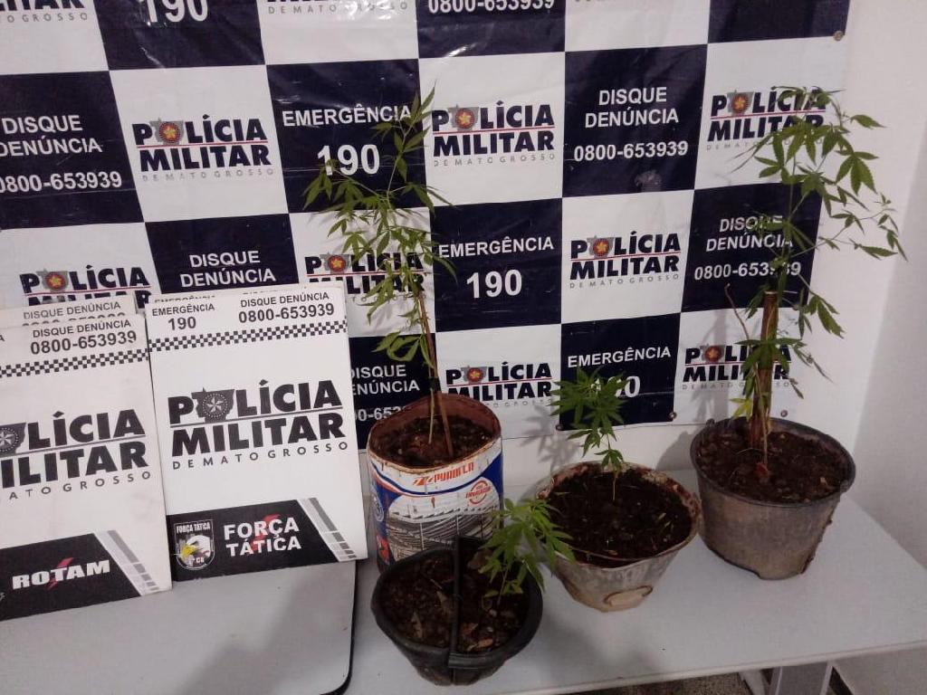 Policiais percebem homem carregando muda de maconha 2020 12 15 18:44:39