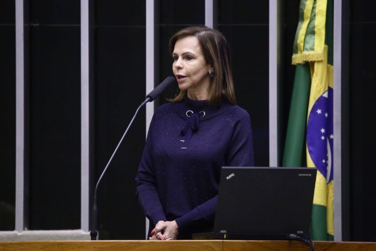 Bancada feminina apresentará pauta prioritária aos candidatos a presidente da Câmara 2021 01 15 09:15:46