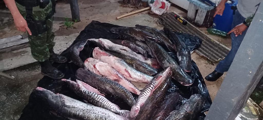 Batalhão Ambiental intercepta motorista e apreende 200 quilos de pescado em Jangada 2021 01 15 12:27:56