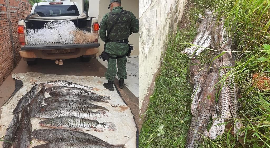 Homem tenta fugir mas é pego com 112 quilos de pescado em Rondonópolis 2021 01 20 19:10:20