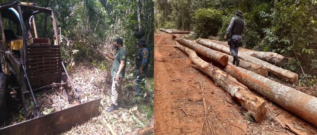 Trabalho integrado descobre %C3%A1rea com explora%C3%A7%C3%A3o ilegal de madeira em Feliz Natal 2021 01 26 20:04:14