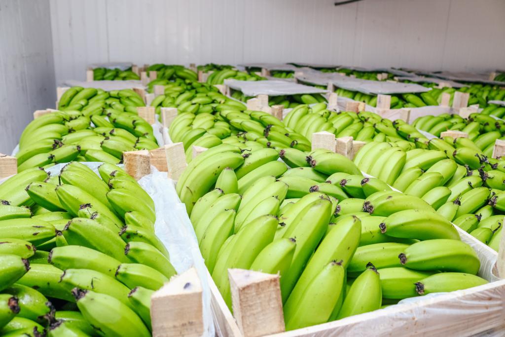 Levantamento aponta que hortifruti teve alta de até 110 em Cuiabá2021 02 04 18:26:24