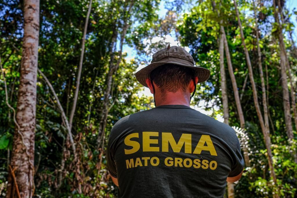 Mato Grosso apresenta redução de 31 5 nos alertas de desmatamento nos últimos 6 meses2021 02 22 08:37:32