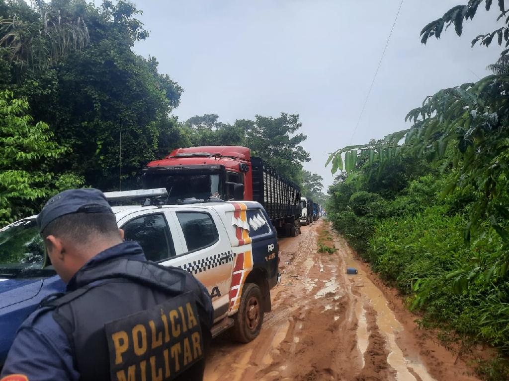 Operação conjunta prende cinco suspeitos e recupera 115 bois roubados em fazenda de Confresa 2021 02 07 20:51:57
