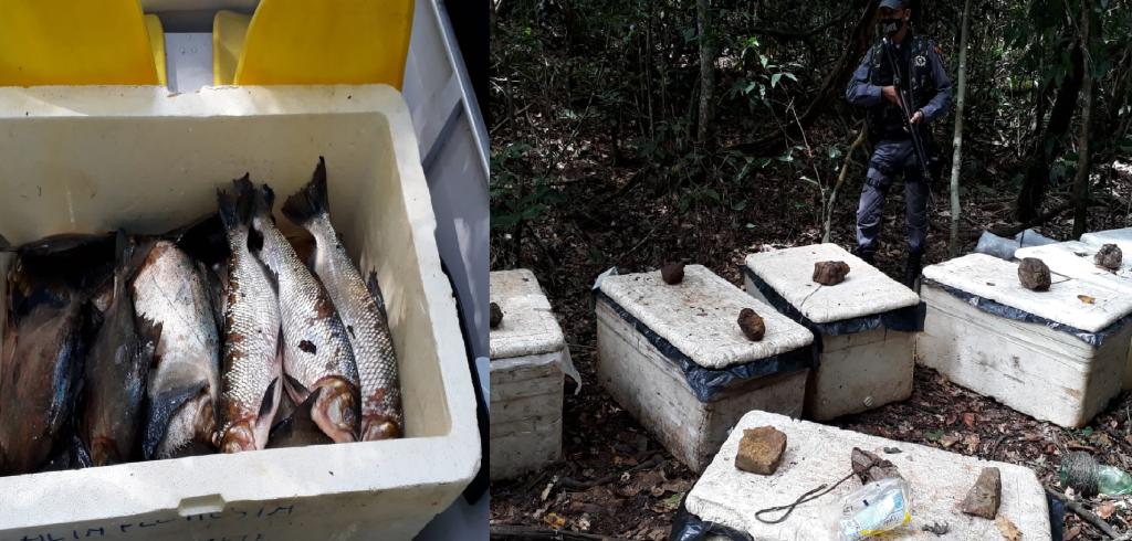 PM e Sema identificam pesca predatória em acampamento montado no Parque Estadual do Cristalino 2021 02 08 13:48:01