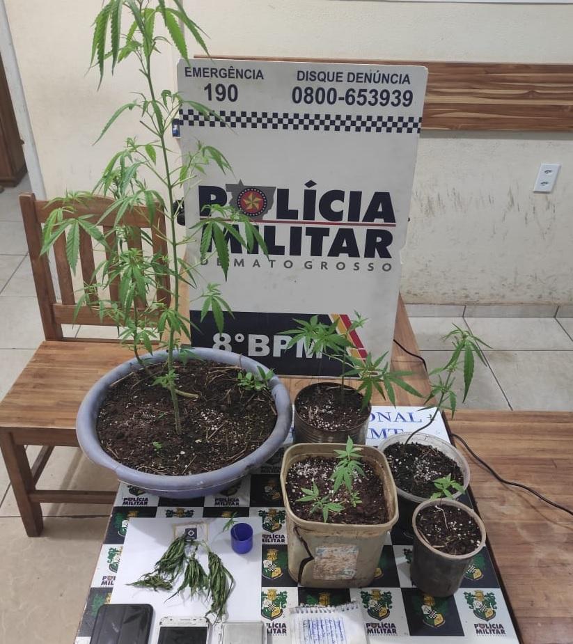 PM encontra p%C3%A9s de maconha e prende suspeito em Alta Floresta 2021 02 05 11:39:33