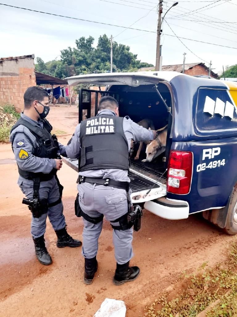 PM resgata três cães debilitados em casa abandonada em Poconé 2021 02 02 15:09:08