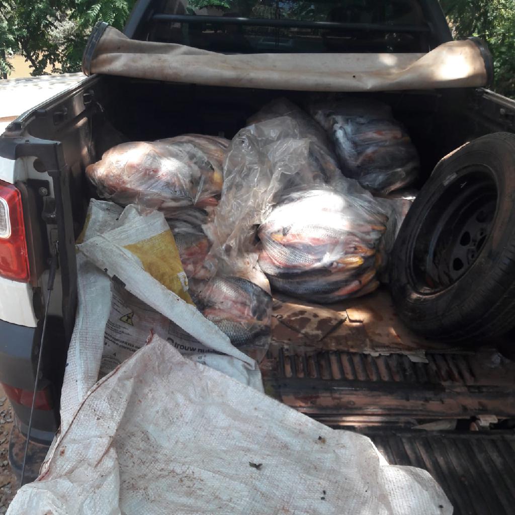 Policiais militares apreendem 126 quilos de pescado irregular em Porto Estrela2021 02 21 14:15:37