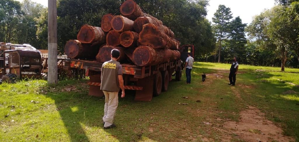 Regional da Sema apoia PRF em operação contra transporte ilegal de madeira na região de Juína2021 02 06 10:29:42