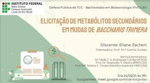 Lucas: Em tempos de pandemia, IFMT realiza defesa de TCC de modo virtual 2 WhatsApp Image 2021 02 25 at 15.39.43