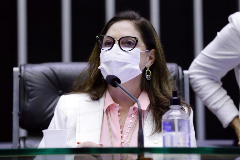 Bancada feminina se destaca nas votações de projetos contra a pandemia e seus efeitos sociais 2021 03 06 18:13:38