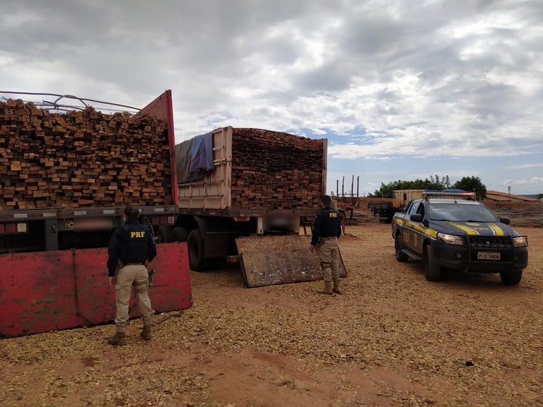 Em Eliseu Martins PI: Durante fiscalização de veículos de carga PRF apreende carregamentos de madeira ilegal na BR 135 e autua condutores por Crime Ambiental 2021 03 18 08:27:14