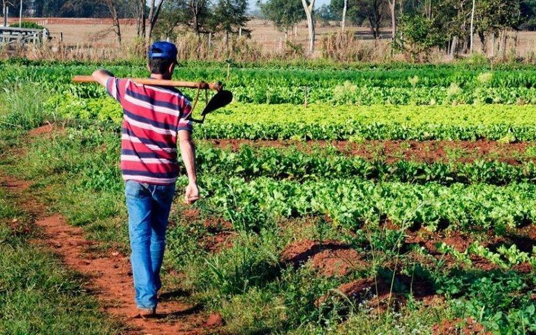 Garantia Safra autoriza pagamento para mais de 13 mil agricultores familiares 2021 03 19 08:38:39