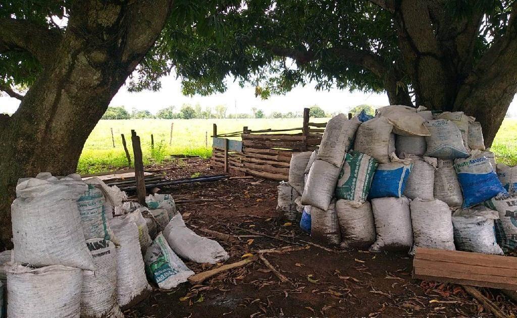 PM Ambiental fecha fábrica ilegal de carvão de coco de babaçu 2021 03 19 15:55:26