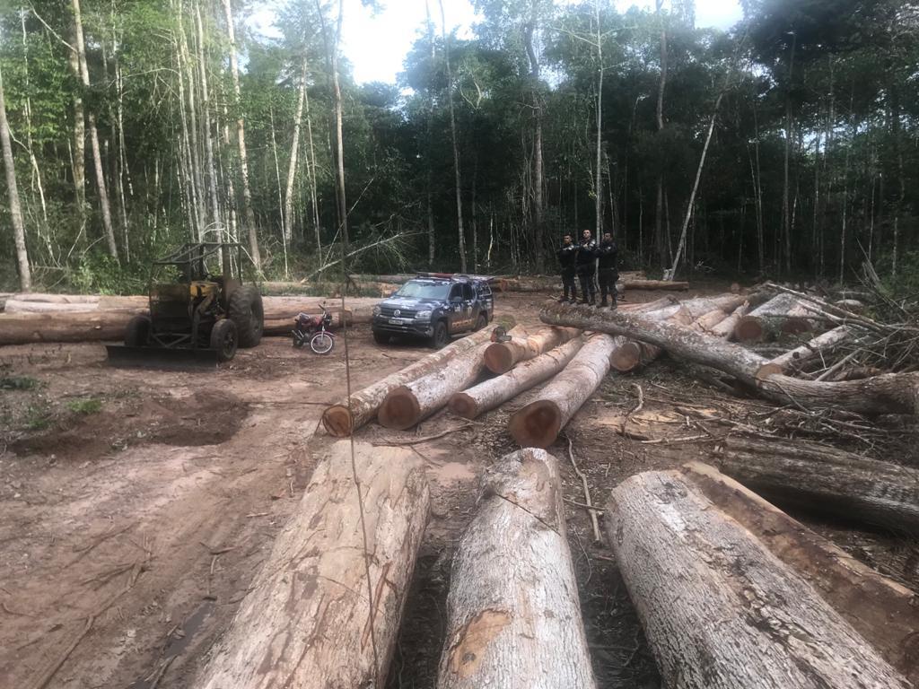 PM prende quatro por extração ilegal de madeira em área indígena e porte de arma 2021 03 21 21:38:23