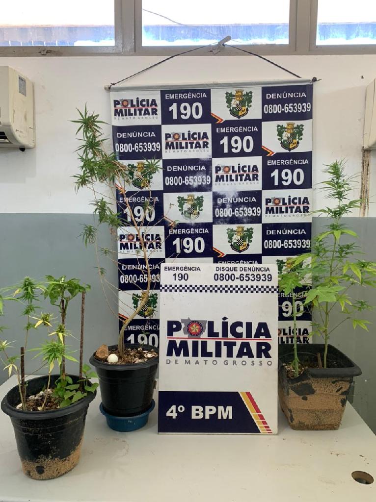 PM prende suspeito e descobre plantação de maconha em Várzea Grande 2021 03 23 09:53:41