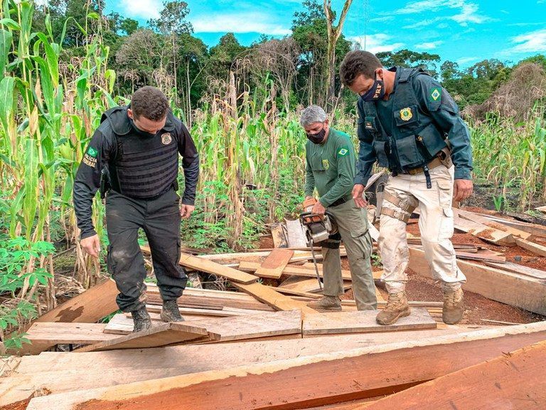 PRF do Pará atua na Operação Avarum do MPF para combater a ocupação irregular de terras e o desmatamento ilegal em Anapú 2021 03 04 12:07:18