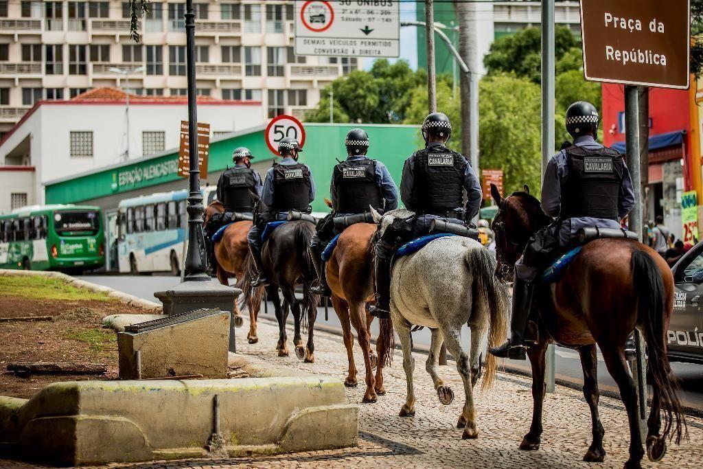 Referência nacional animais das forças de segurança de MT auxiliam na atuação dos militares e propiciam integração com a sociedade 2021 03 15 22:51:12