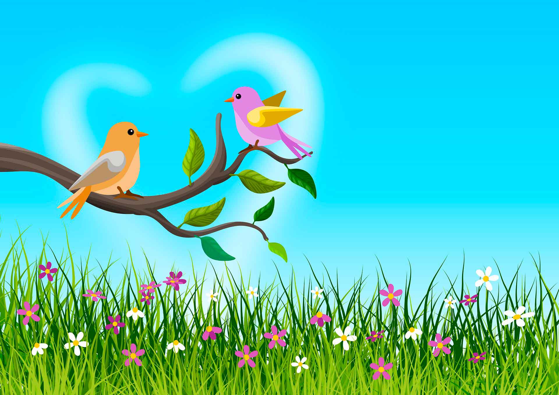 horóscopo signo de cancer - passarinhos - pixabay