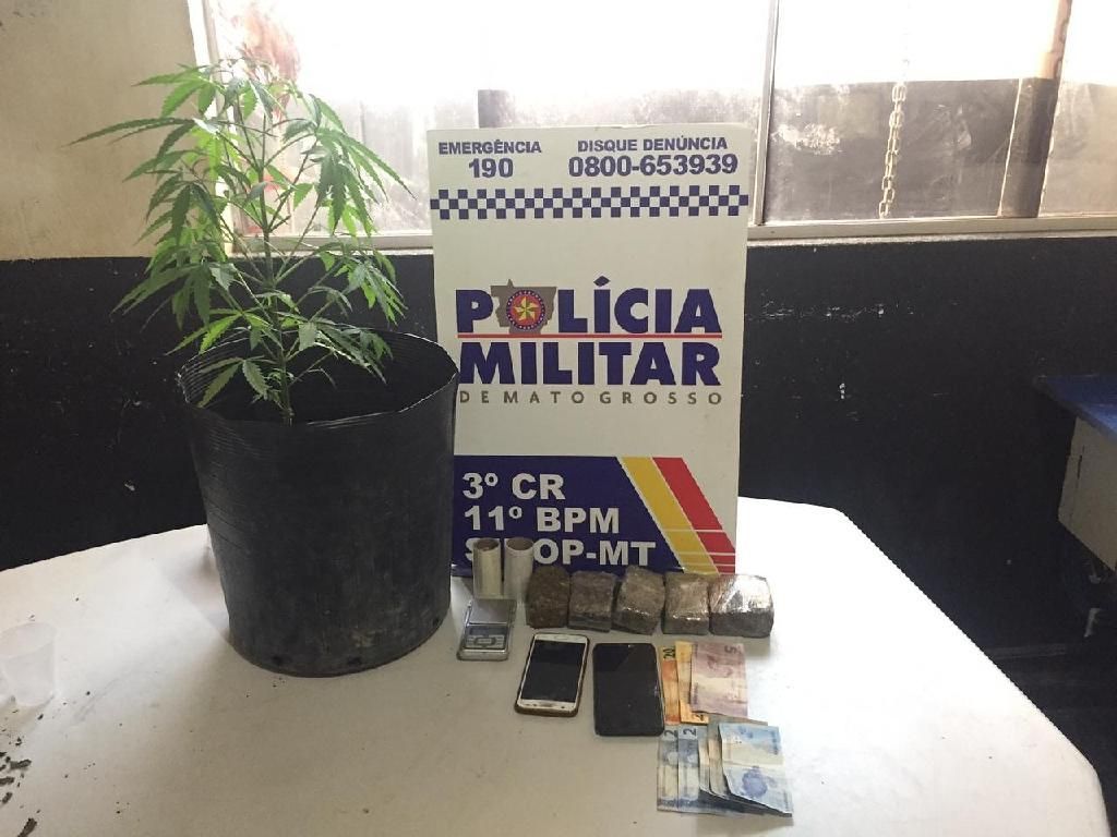 Em briga de casal policiais encontram droga e pé de maconha em Sinop 2021 04 13 06:56:25