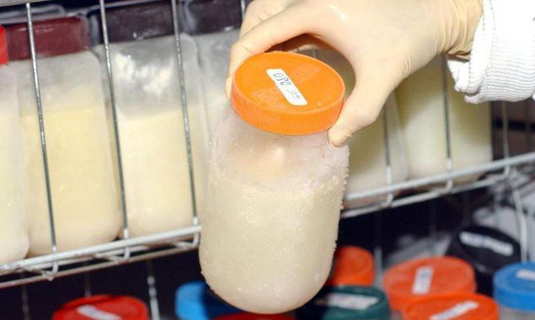 Fiocruz será colaboradora da OMS no fortalecimento dos bancos de leite humano 2021 04 15 07:33:21
