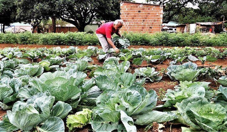 Mato Grosso do Sul: Governo vai auxiliar União na regularização de 30 mil títulos de terra da agricultura familiar em MS 2021 04 06 07:44:07