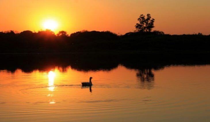 Mato Grosso do Sul: Temperaturas voltam a subir e fim de semana pode ter máxima de 39°C no Estado 2021 04 02 14:14:39