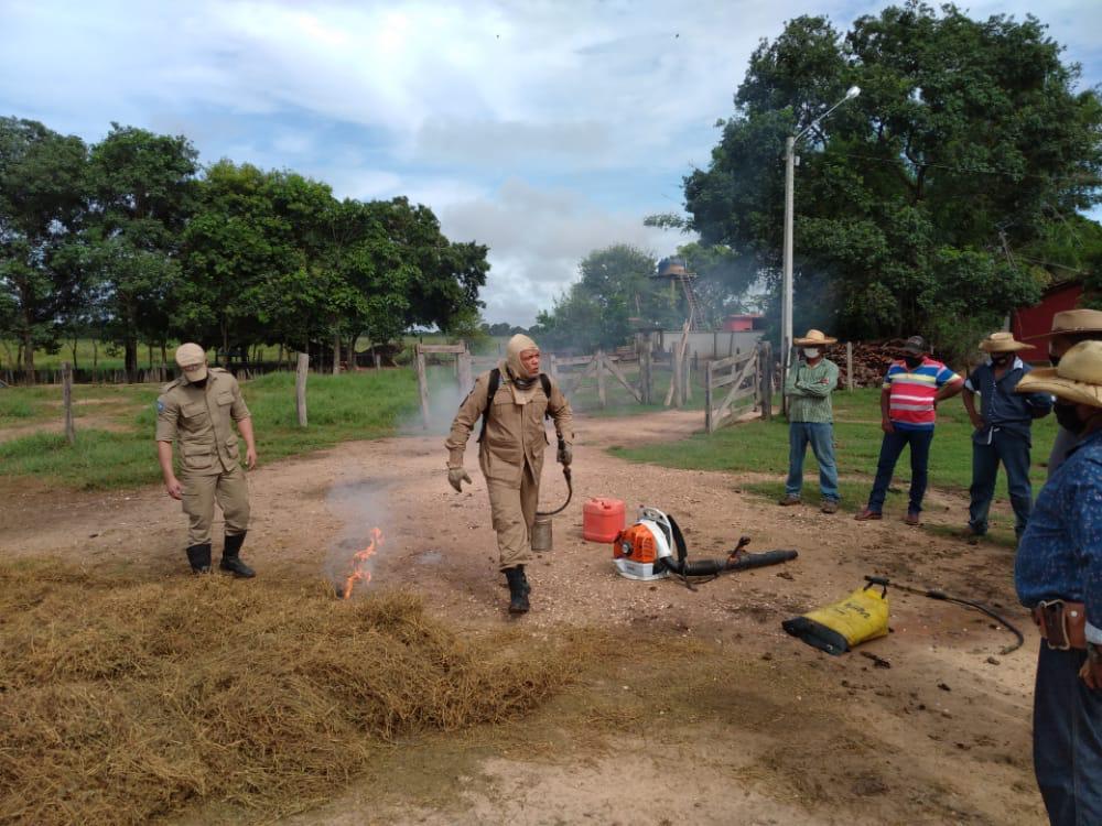 incêndios florestais