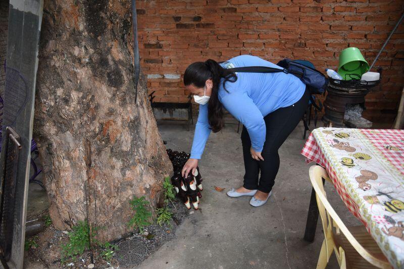 agentes de endemias enfrentam pandemia para manter populacao livre do mosquito aedes aegypti