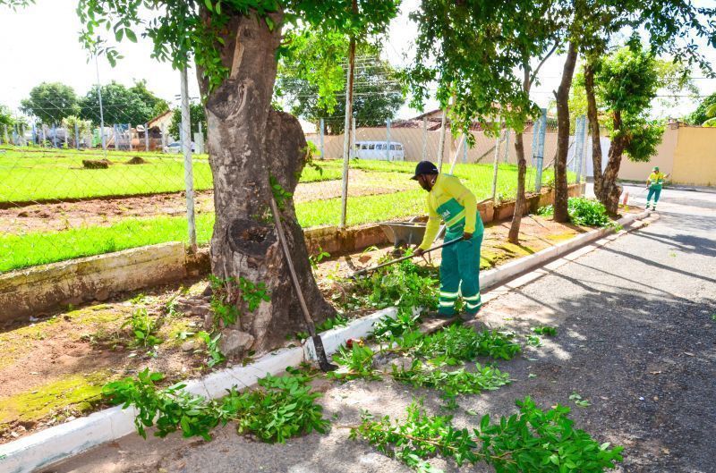 limpurb realiza trabalho diario de poda de arvores para evitar transtornos e melhorar paisagismo da cidade