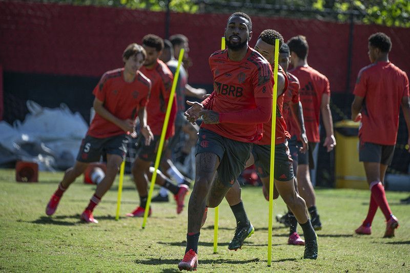 Chegou a hora! Criciúma x Botafogo-SP: onde assistir ao jogo que pode  garantir o acesso do Tigre - NSC Total