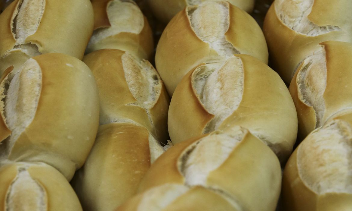 Pesquisa cria pão sem glúten mais saboroso e com alto valor nutritivo