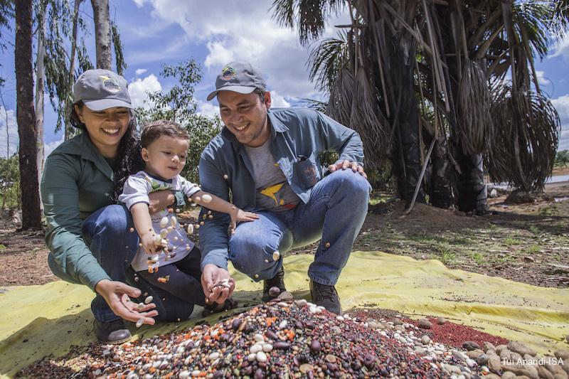 corredores ecologicos restauram ecossistemas no xingu araguaia