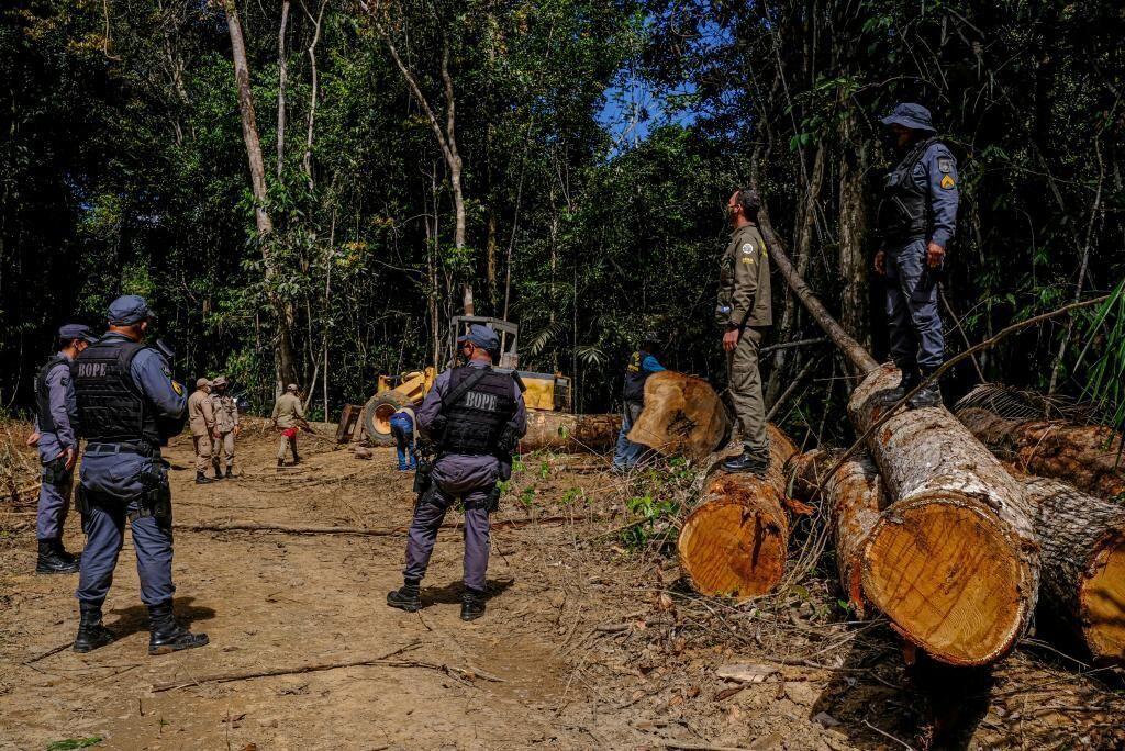 estado ja aplicou r 620 milhoes em multas ambientais e endurece medidas contra infratores