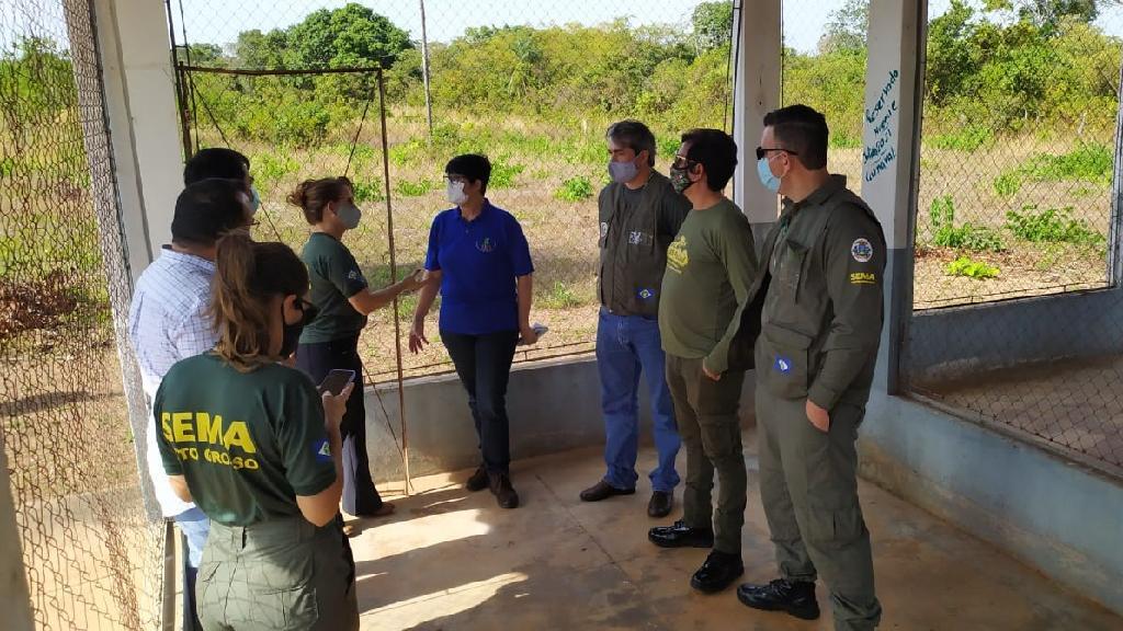 estado visita estrutura e planeja parceria com ifmt para atendimento aos animais silvestres atingidos pelo fogo