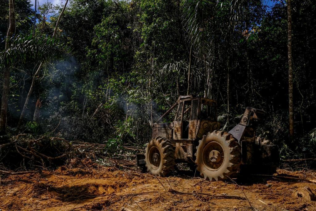 governador lanca mais uma etapa da operacao amazonia contra crimes ambientais