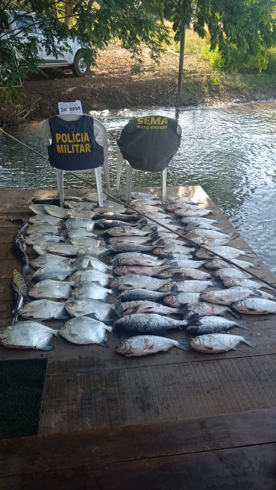 operacao contra pesca predatoria apreende 183 quilos de pescado na regiao de sinop