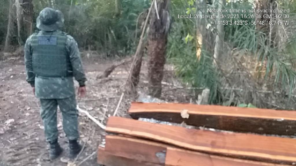 pm flagra desmatamento e extracao ilegal de madeira e babacu em alto paraguai
