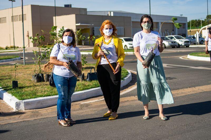 no dia do meio ambiente secretaria municipal da mulher participa de plantio de arvores em homenagem as vitimas da covid 19