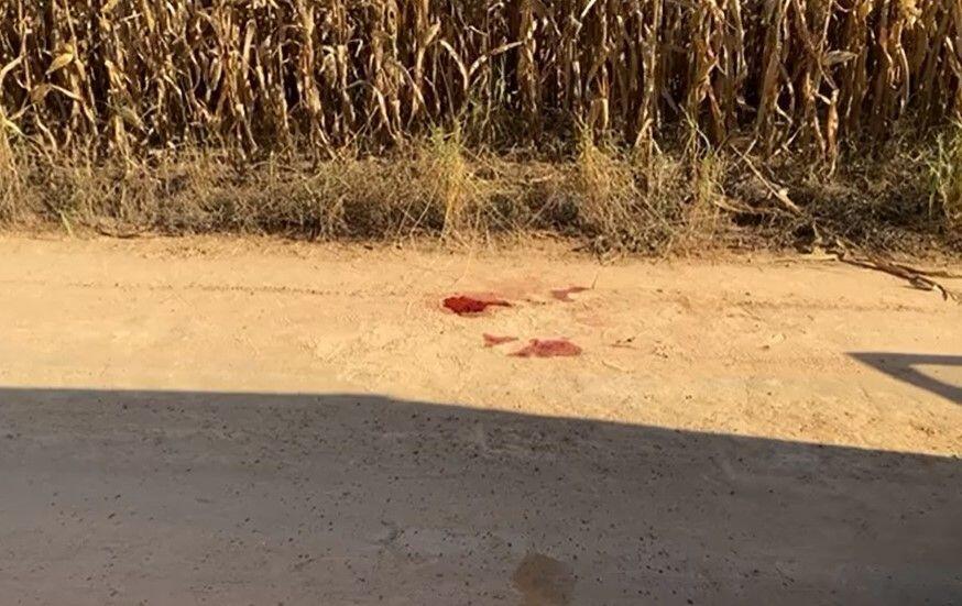 Mulher é morta com 28 facadas em Sorriso (MT) 2 SORRISO A