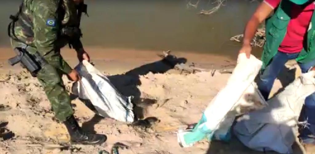 batalhao ambiental e sema resgatam 24 tartarugas na regiao do araguaia