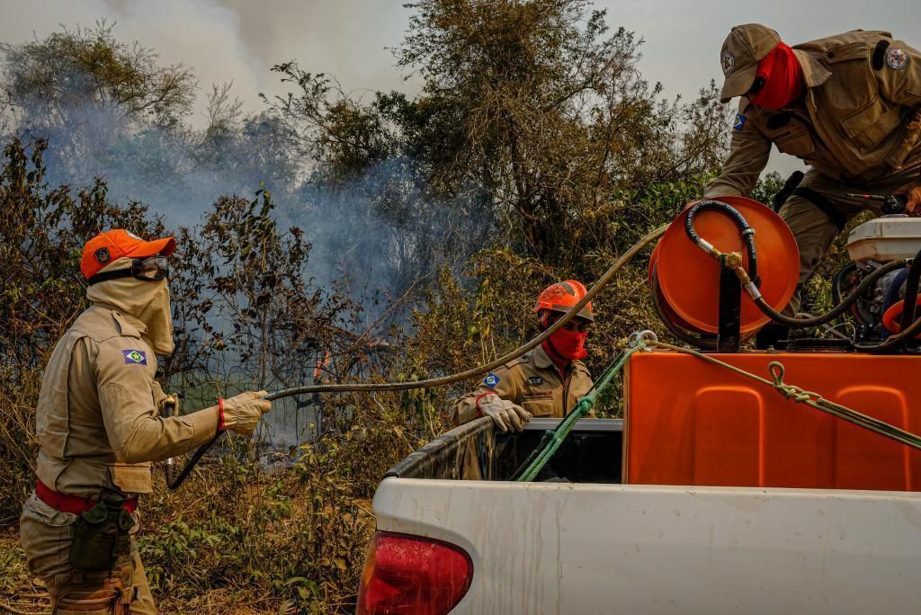 corpo de bombeiros e sema iniciam queimas prescritas e aceiros no parque encontro das aguas no pantanal