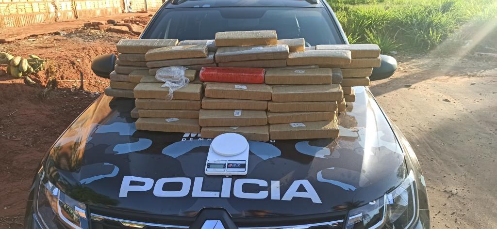 forca tatica encontra 72 tabletes de maconha dentro de geladeira em rondonopolis