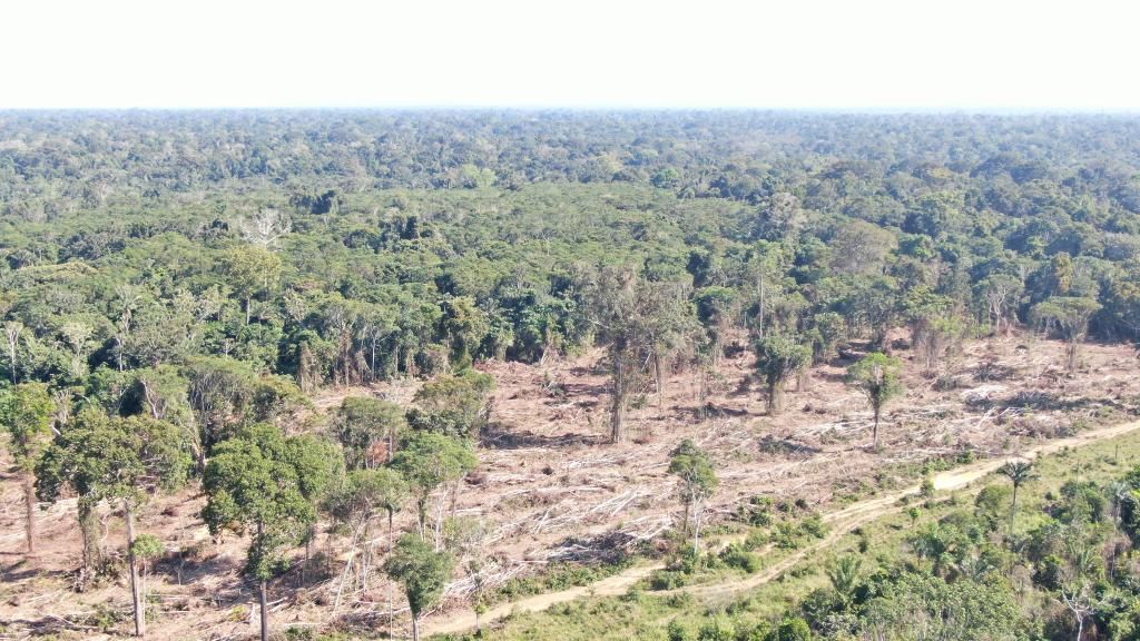 sema realiza operacao de combate ao desmatamento ilegal e aplica r 3 7 milhoes em multas