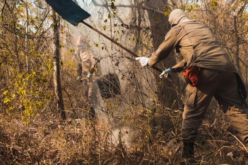 treinamento com bombeiros oferece oportunidade de contratacao para brigada em lucas